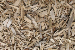 biomass boilers Saffrons Cross